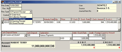 SentezExcellent accounting1